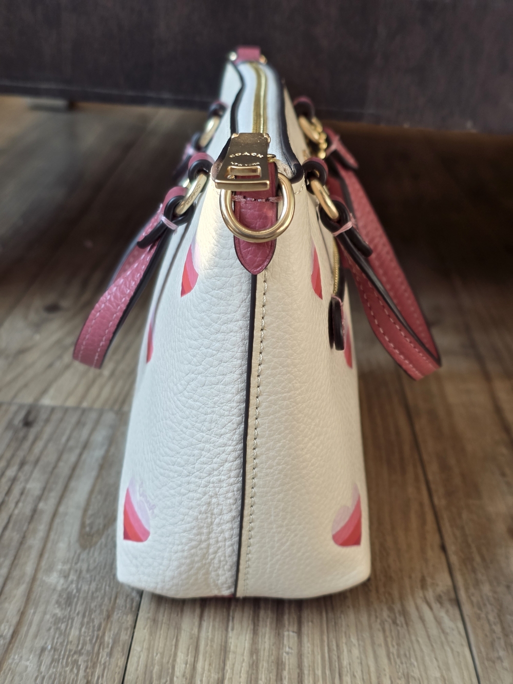 Coach Mini Gallery Crossbody with Stripe Heart Print - Picture 3 of 10